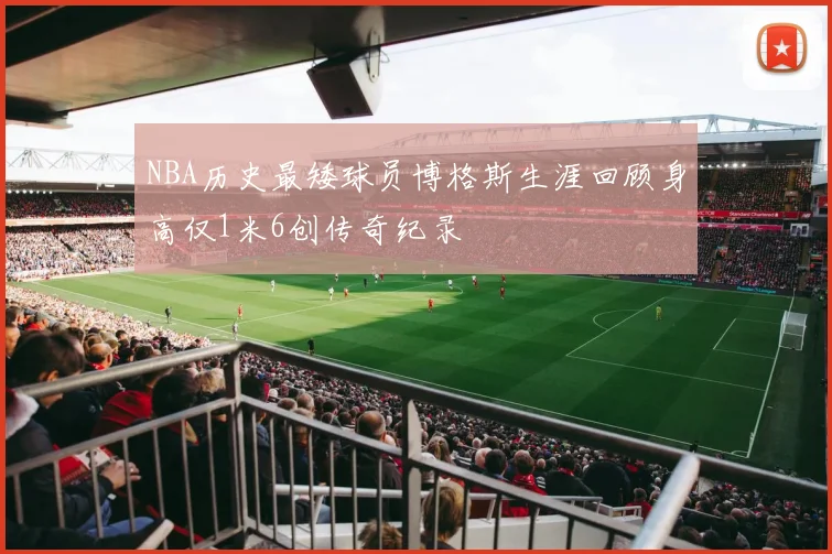 NBA历史最矮球员博格斯生涯回顾身高仅1米6创传奇纪录