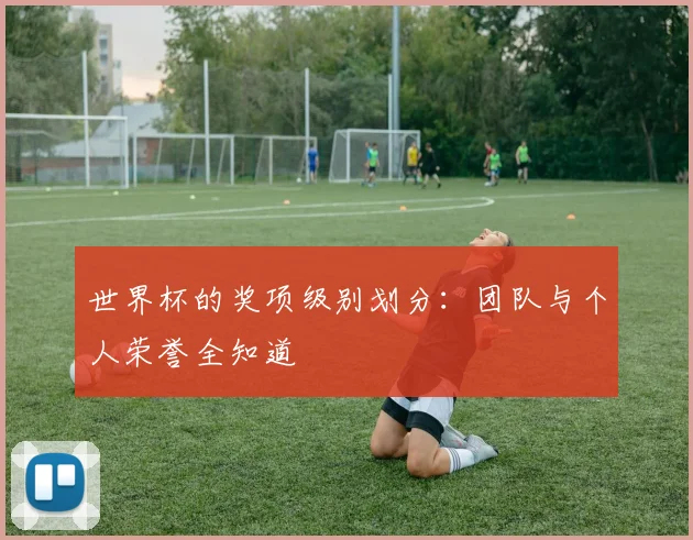 世界杯的奖项级别划分：团队与个人荣誉全知道