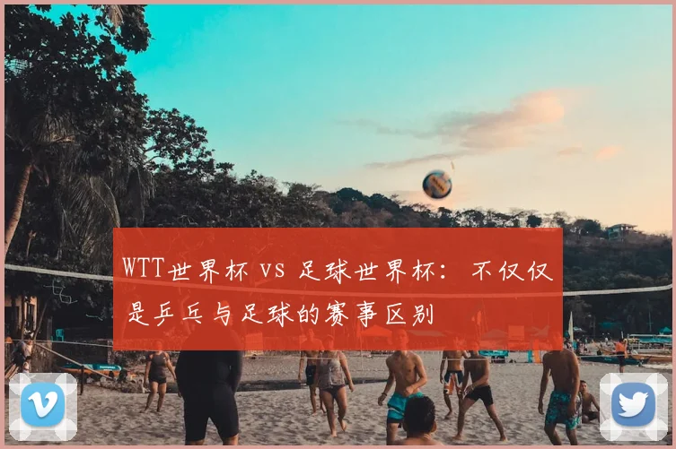 WTT世界杯 vs 足球世界杯：不仅仅是乒乓与足球的赛事区别