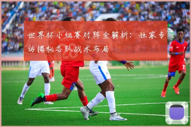 世界杯小组赛对阵全解析：独家专访揭秘各队战术布局