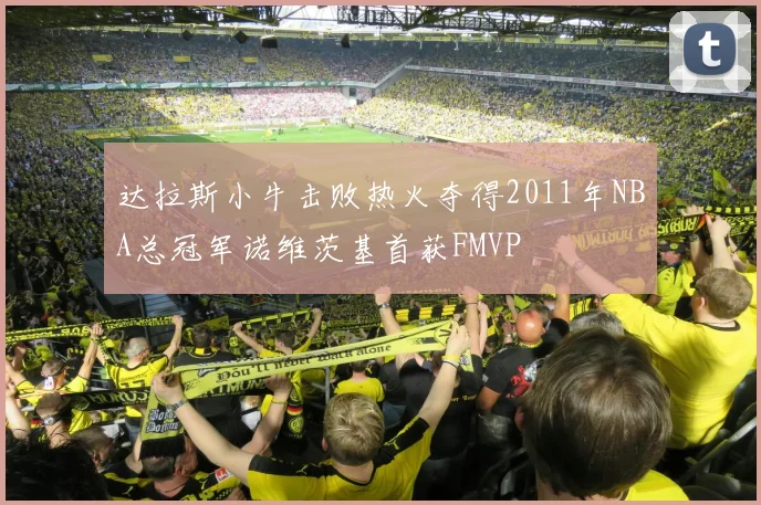 达拉斯小牛击败热火夺得2011年NBA总冠军诺维茨基首获FMVP