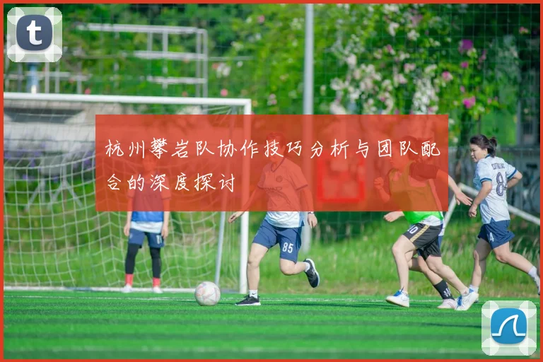 杭州攀岩队协作技巧分析与团队配合的深度探讨