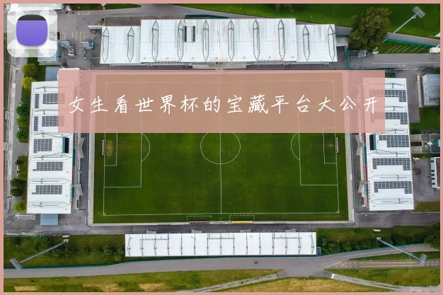 女生看世界杯的宝藏平台大公开