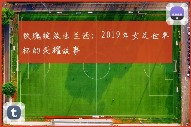 玫瑰绽放法兰西：2019年女足世界杯的荣耀故事